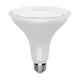 NewLeaf 15w Soft White PAR38 Outdoor Reflector